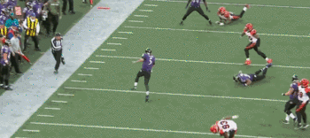 burfict1_medium