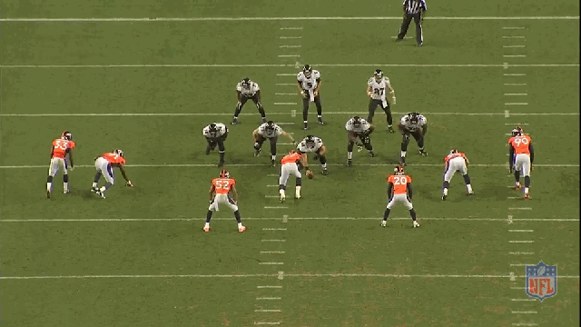 flacco-den